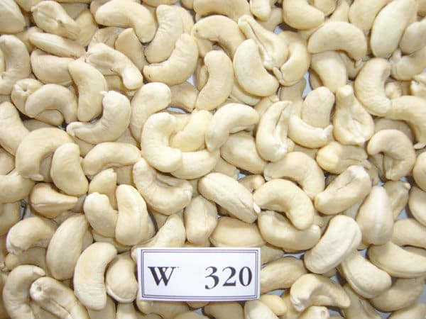 VIETNAM RAW CASHEW 320